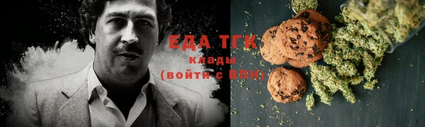 хмурый Аркадак