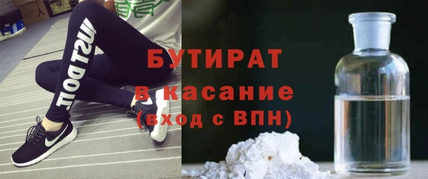 хмурый Аркадак