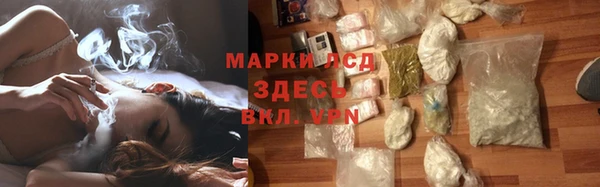гидра Арсеньев
