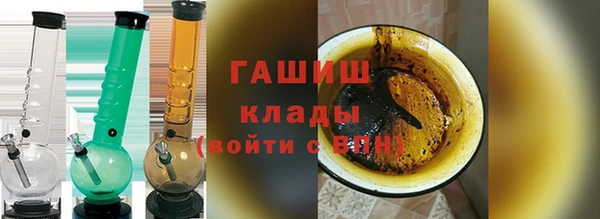 хмурый Аркадак