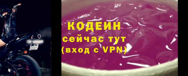гидра Арсеньев
