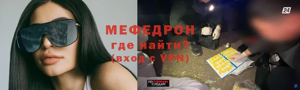 хмурый Аркадак
