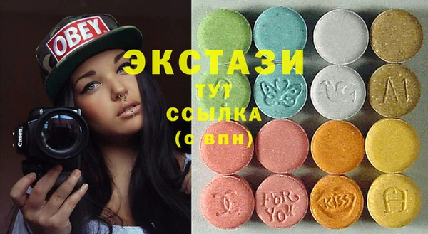 хмурый Аркадак