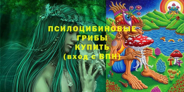 хмурый Аркадак