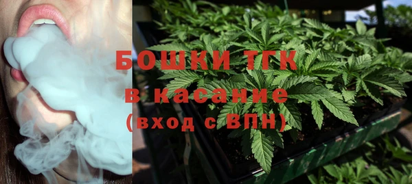 хмурый Аркадак