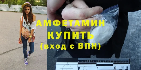 гидра Арсеньев