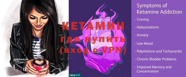 хмурый Аркадак